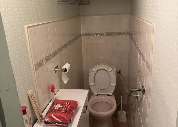 Apartamento Centre Mirepoix (Ariege)